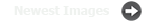Most Recently Uploaded Images