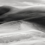 The beauty of black and white