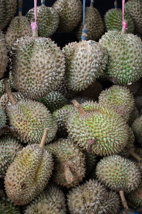 Durian Fruit is abundant in Mindanao