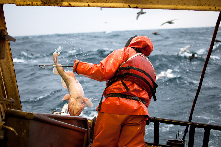 Bering Sea Fisherman