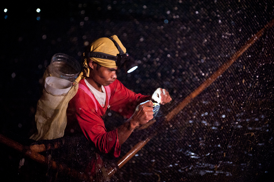 Collecting shrimp at night with headlamp
