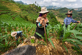Photo Story: Journey Through Lao Cai Vietnam