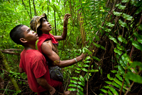 Photo Story: Bukidnon's Tigwahanon Manobo