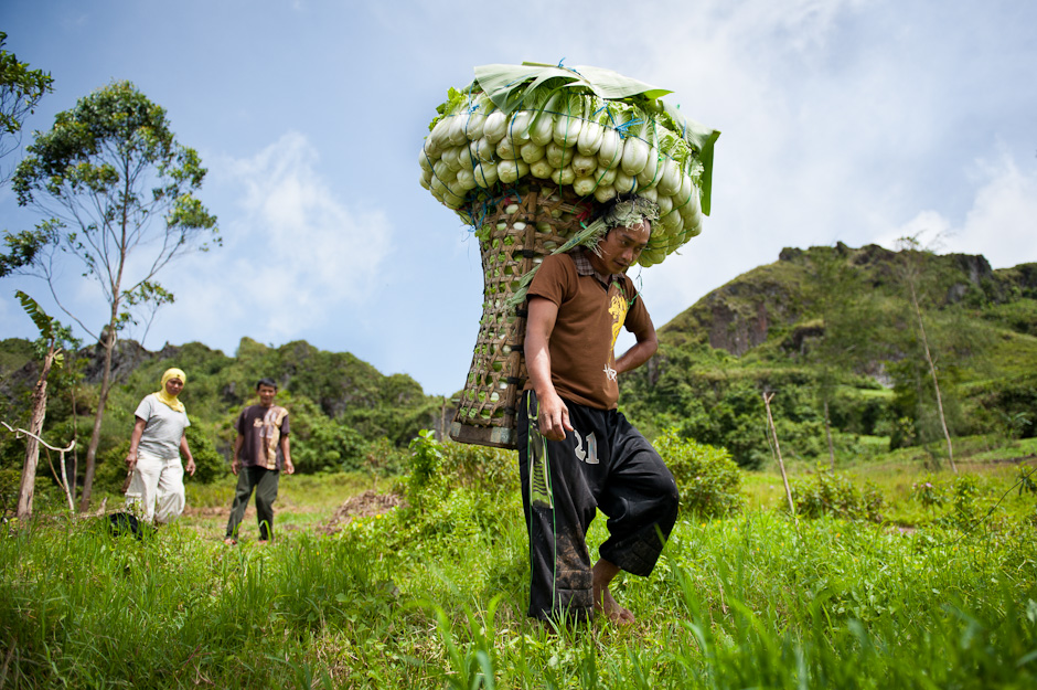 Hiking with over 100 kilos of pechay (cabbage) on his head.