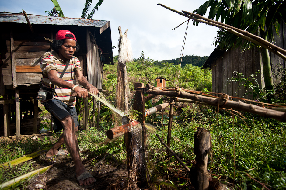 Getting Abaca raw material
