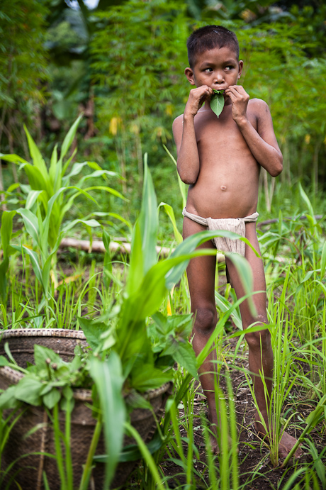 Tau't Bato Child in field