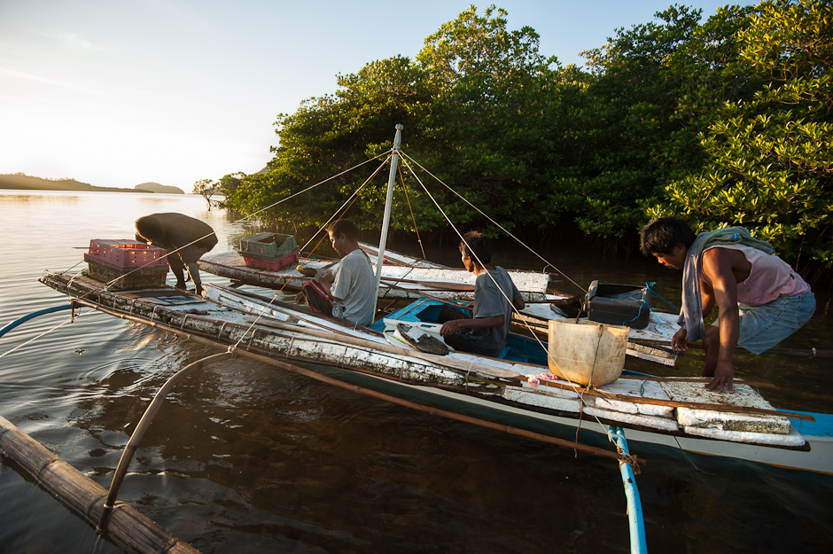 Octopus fishermen leaving