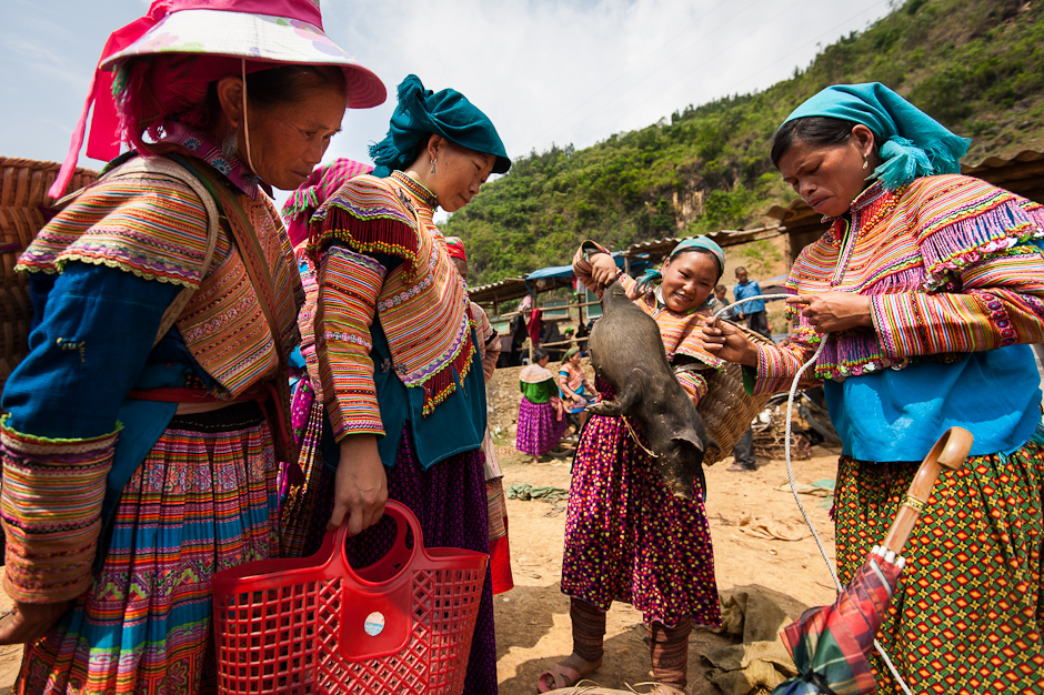 Flower Hmong selling livestock at market