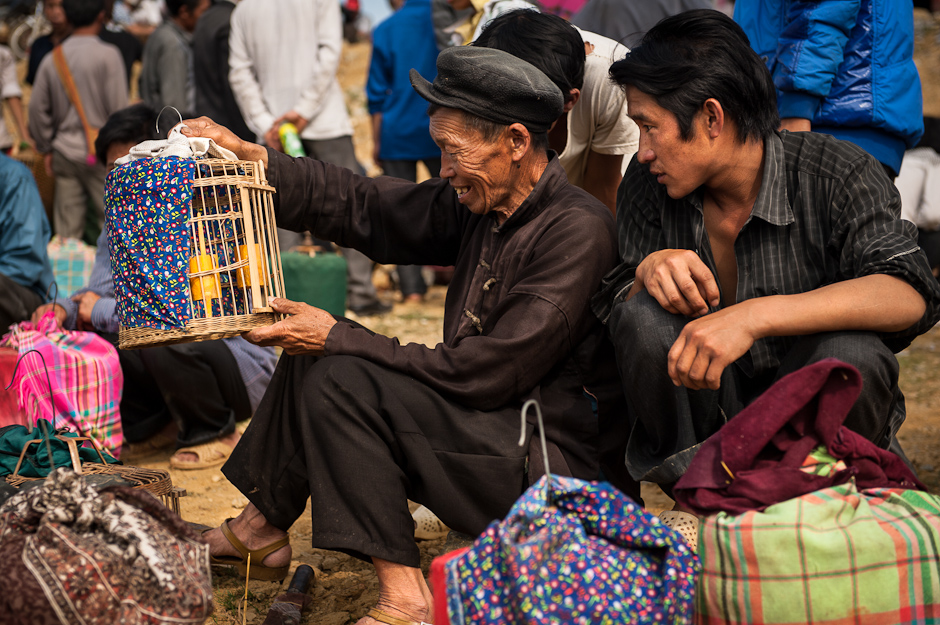 Selling birds at Bac Ha Market