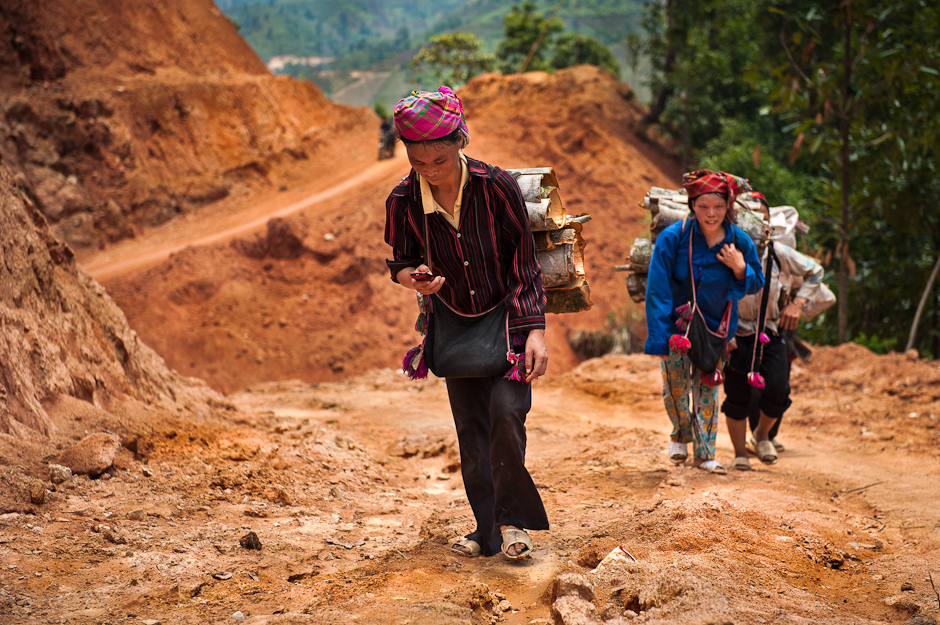 Dzao women transporting fresh cinnamon bark