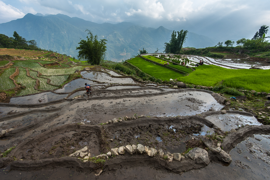 Scenic Sapa