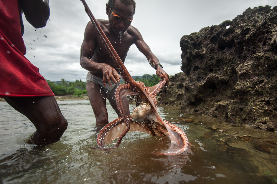 Octopus fishing