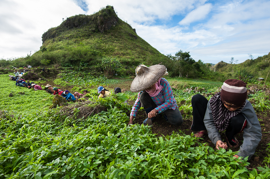 Farmers