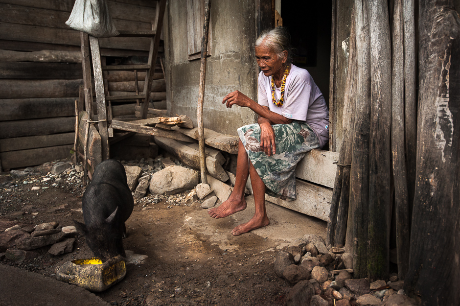 Kalinga woman feeding pig Kalinga woman feeding pig