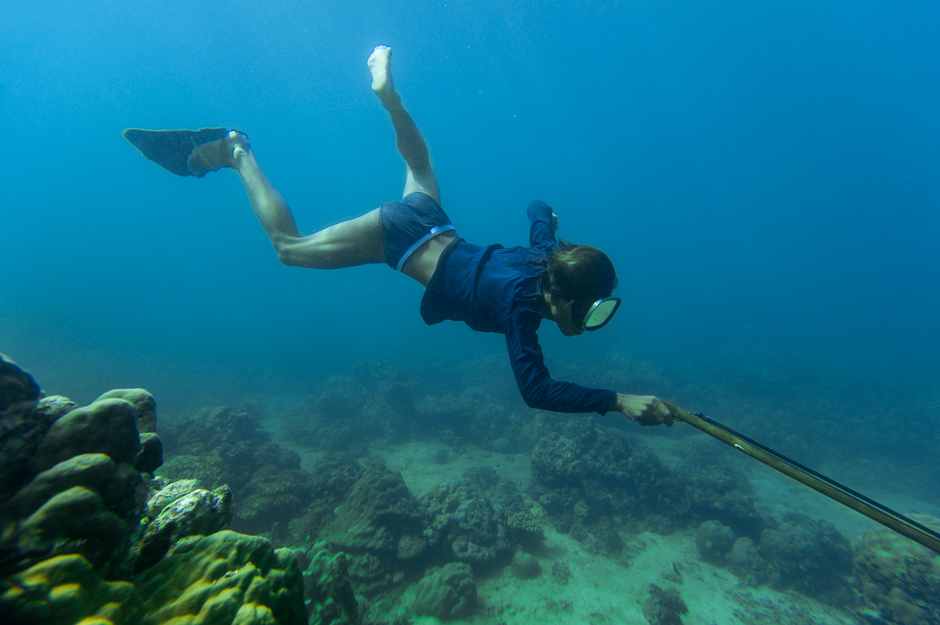 Alby Spearfishing Alby Spearfishing