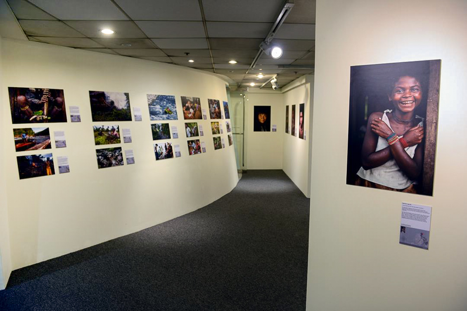 The upper level of the exhibit.