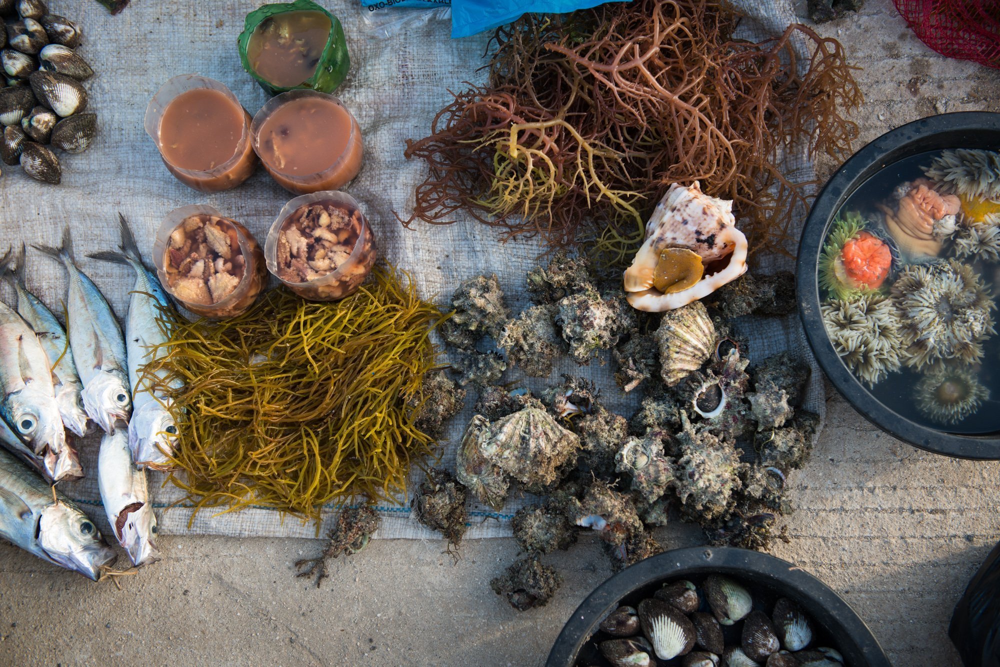 Tawi_Tawi_3468_4234 Tawi_Tawi_3468_4234