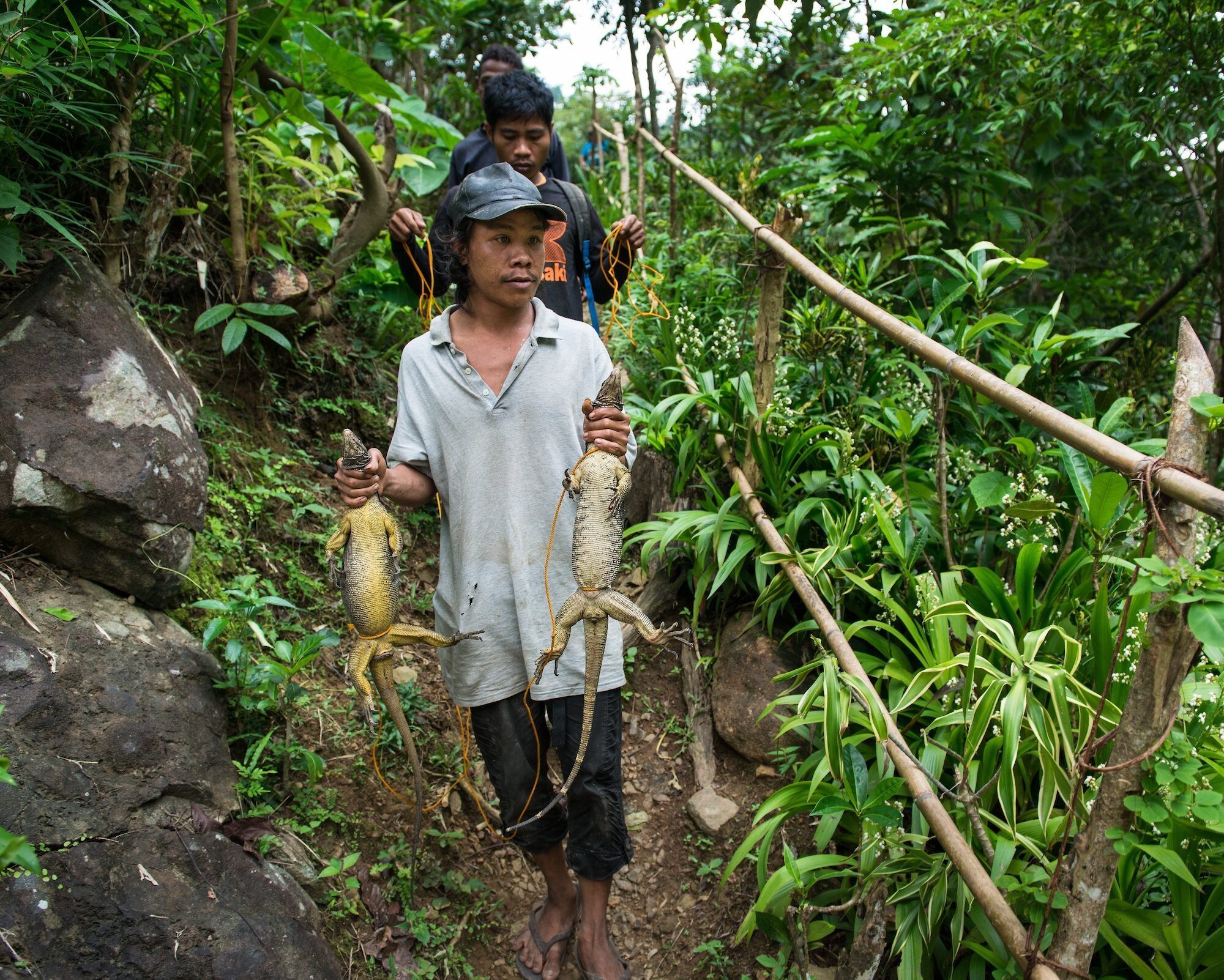 Atis_Panay_2967 Atis_Panay_2967
