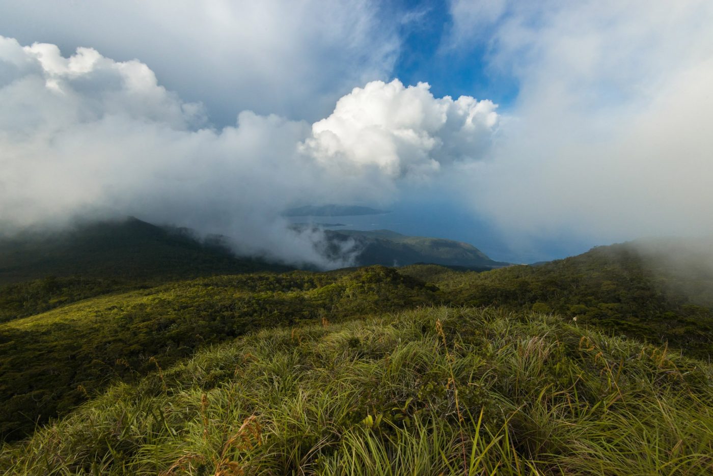 Mount Hamiguitan World Heritage Book Project Photographer Jacob Maentz